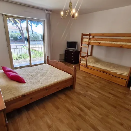 2 Pieces Climatise, Piscine, Centre-ville, Parking Prive, Animal Accepte, - Fr-1-780-18 Apartment