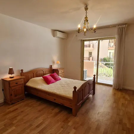 2 Pieces Climatise, Piscine, Centre-ville, Parking Prive, Animal Accepte, - Fr-1-780-18 Apartment