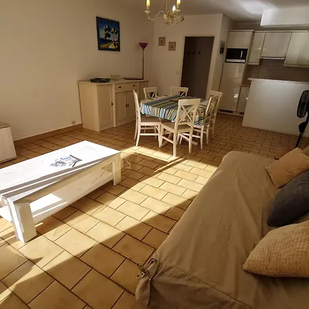 2 Pieces Climatise Avec Piscine Et Animaux Acceptes A - Fr-1-780-18 * サント・マキシム